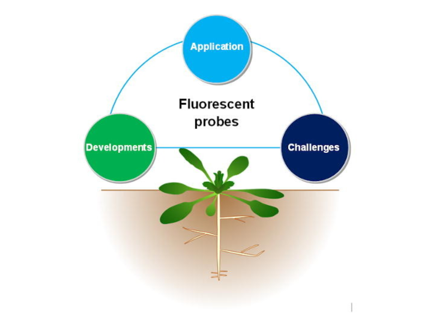 我中心杨晓朋、姬小明在《Coordination Chemistry Reviews》杂志发表综述文章